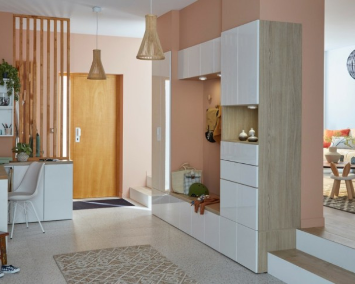 Entree Couloir (3)